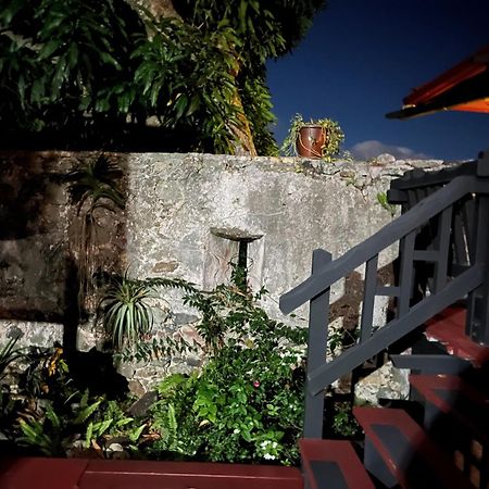 Mid-Century: Caribbean Style Daire Contant  Dış mekan fotoğraf