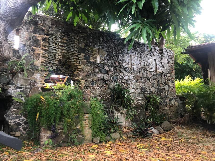 Mid-Century: Caribbean Style Daire Contant  Dış mekan fotoğraf