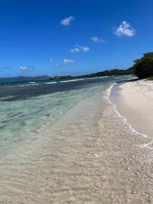 Mid-Century: Caribbean Style Daire Contant  Dış mekan fotoğraf