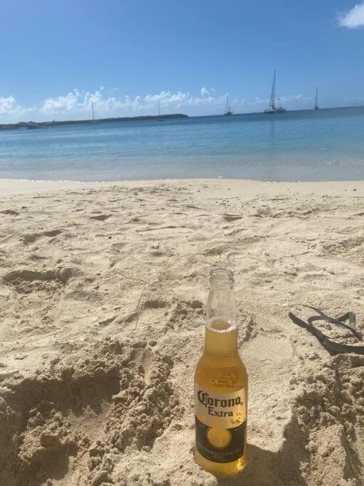 Mid-Century: Caribbean Style Daire Contant  Dış mekan fotoğraf