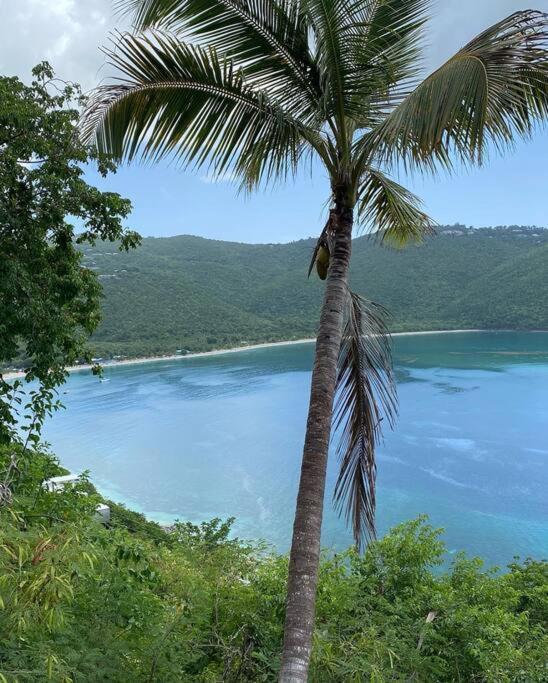 Mid-Century: Caribbean Style Daire Contant  Dış mekan fotoğraf