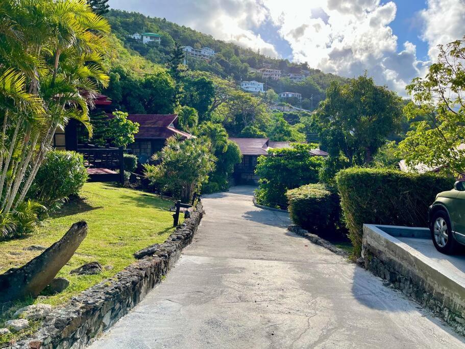 Mid-Century: Caribbean Style Daire Contant  Dış mekan fotoğraf